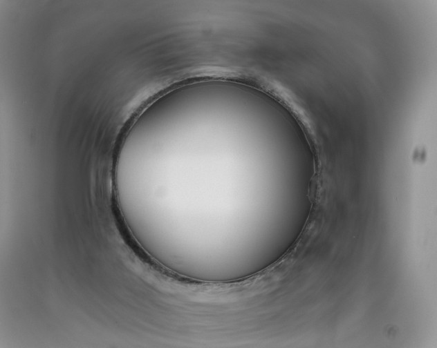 X0000091990011200709201457