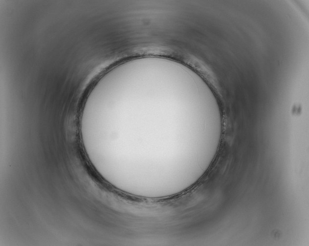 X0000091990012200709201457