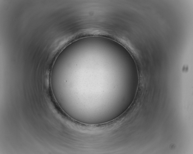 X0000091990014200709201457