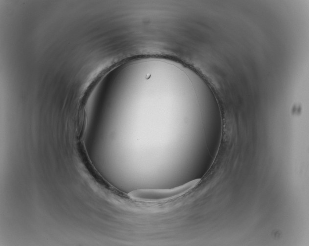 X0000091990015200709201457