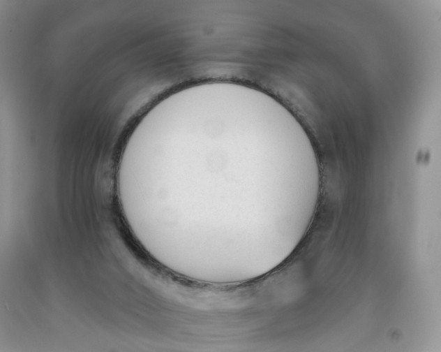 X0000091990016200709201457