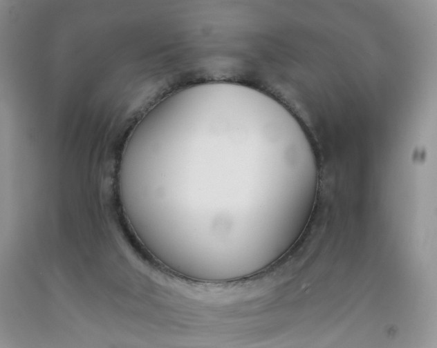 X0000091990018200709201457