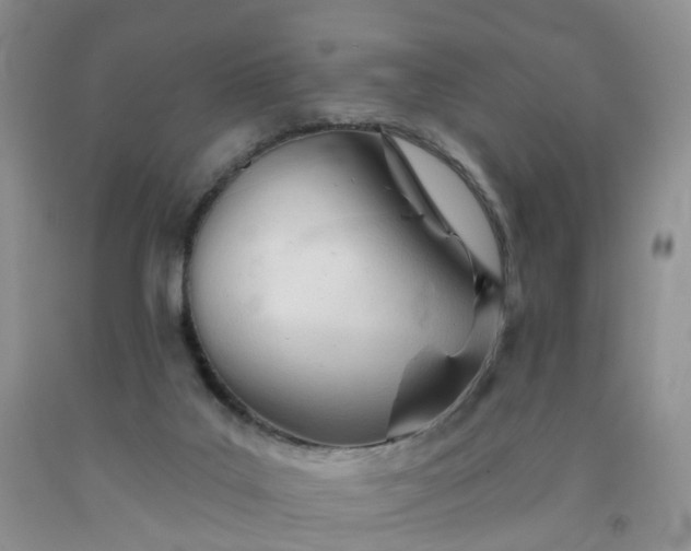 X0000091990019200709201457