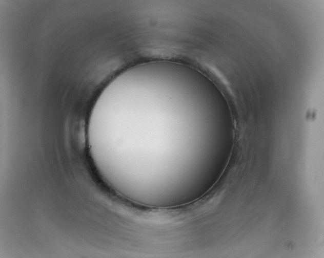 X0000091990020200709201457