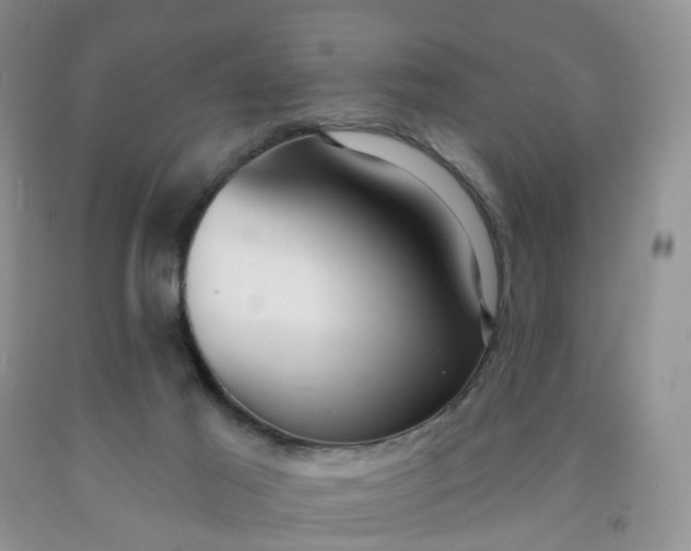 X0000091990021200709201457