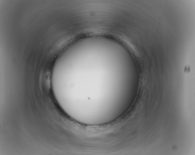 X0000091990022200709201457