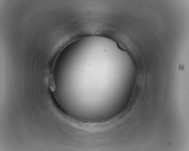 X0000091990023200709201457