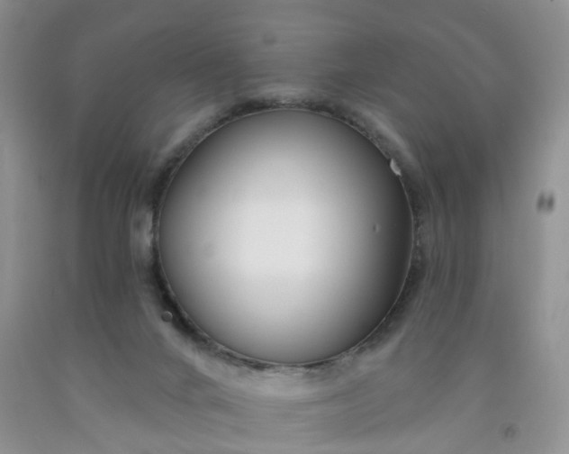 X0000091990024200709201457