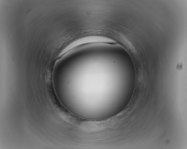 X0000091990025200709201457