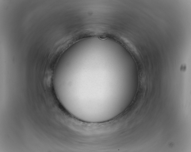 X0000091990026200709201457