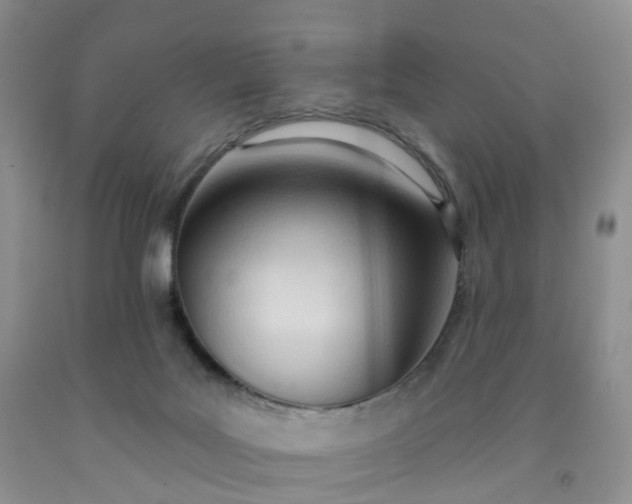 X0000091990027200709201457