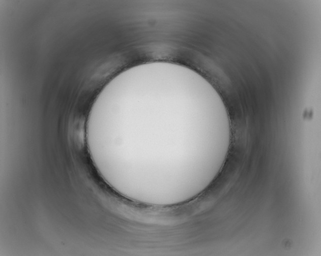 X0000091990028200709201457