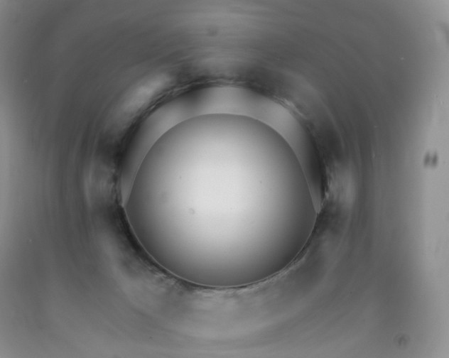 X0000091990029200709201457