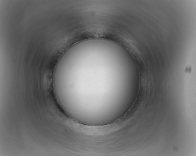 X0000091990030200709201457