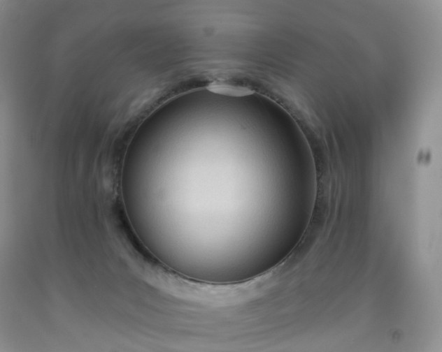 X0000091990031200709201457