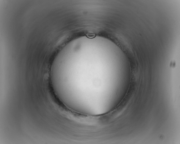 X0000091990032200709201456