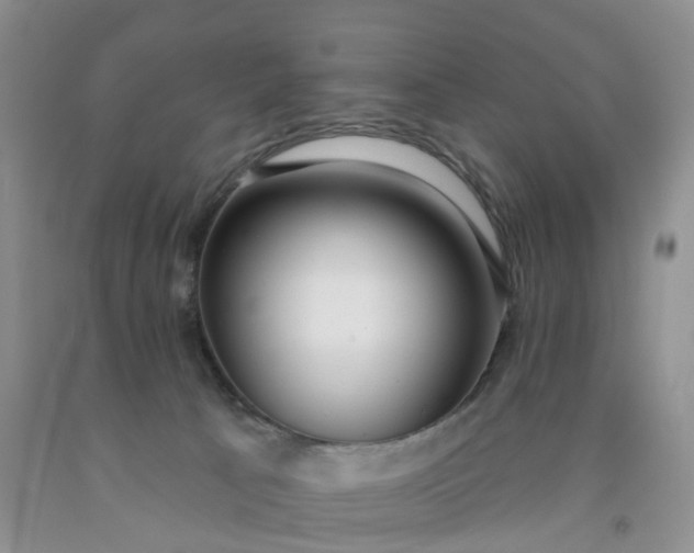 X0000091990033200709201456