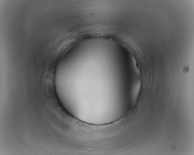 X0000091990035200709201456