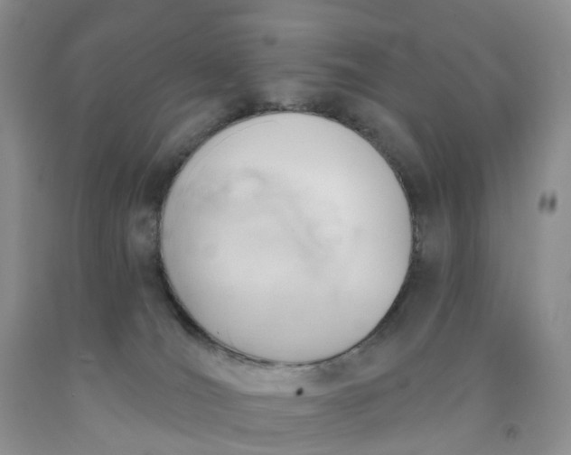 X0000091990036200709201456