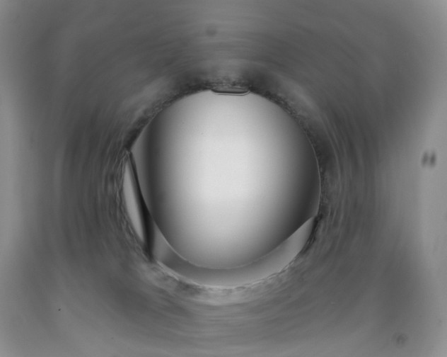 X0000091990037200709201456