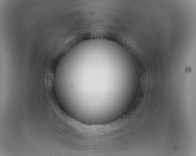 X0000091990038200709201456