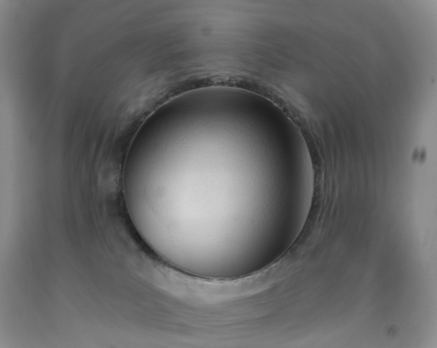 X0000091990039200709201456