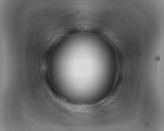 X0000091990040200709201456