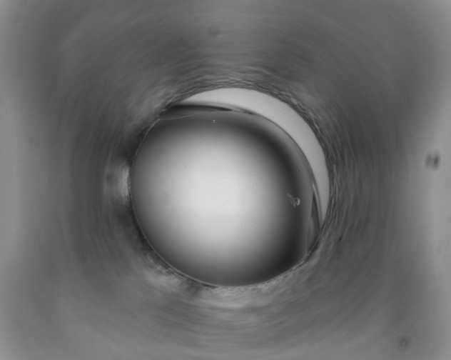 X0000091990041200709201456