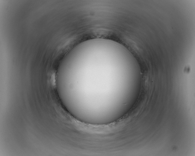 X0000091990042200709201456