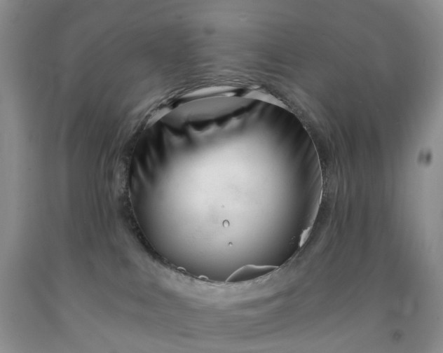 X0000091990043200709201456