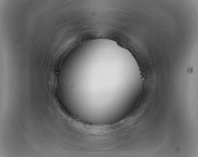 X0000091990044200709201456