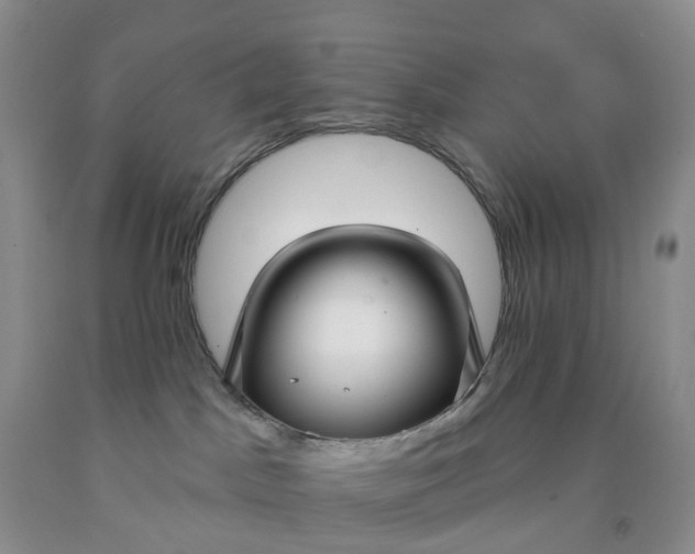 X0000091990045200709201456