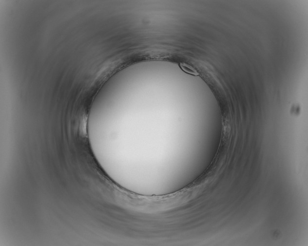 X0000091990046200709201456