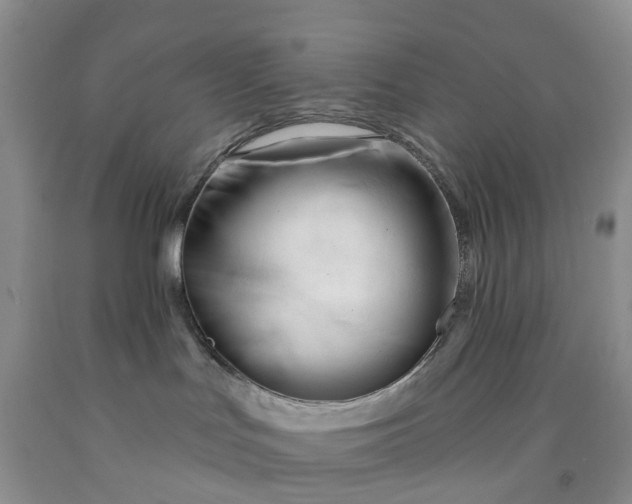 X0000091990047200709201456