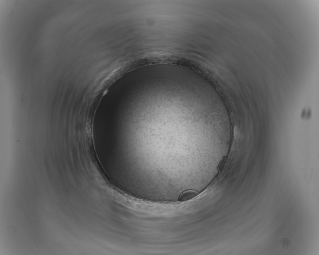 X0000091990048200709201456