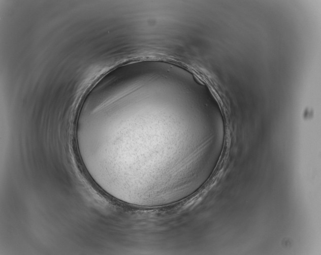 X0000091990049200709201456