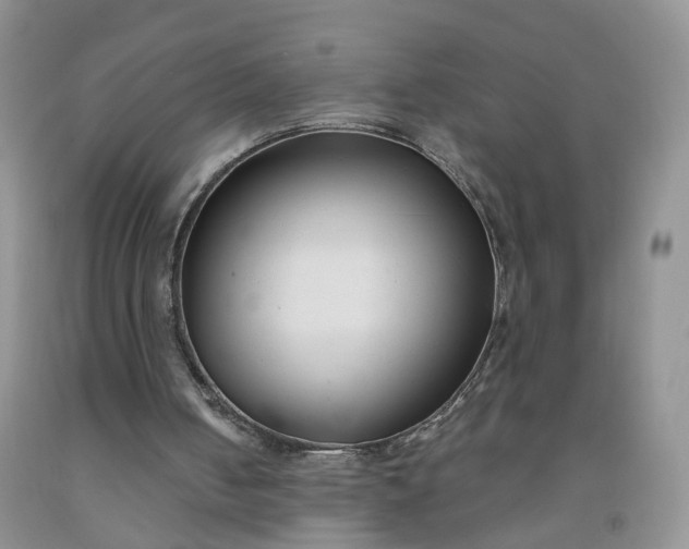 X0000091990050200709201456