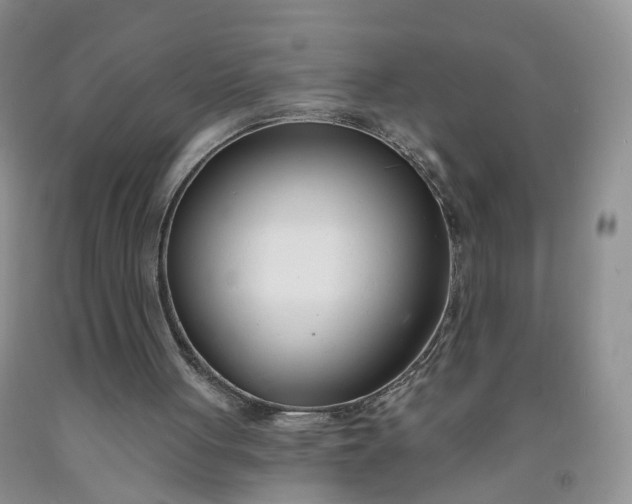 X0000091990051200709201456