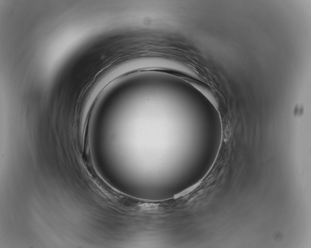 X0000091990052200709201456