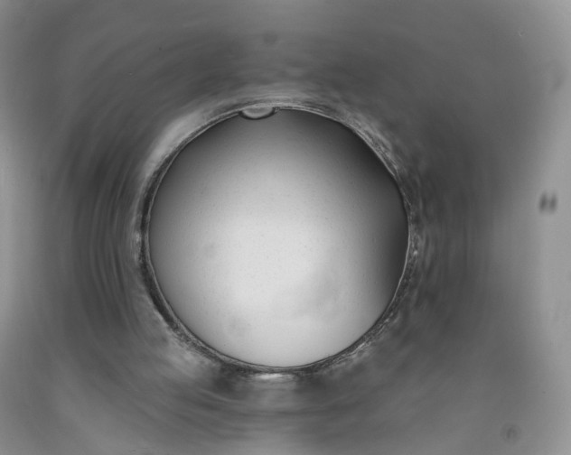 X0000091990053200709201456