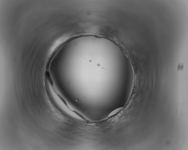 X0000091990054200709201456