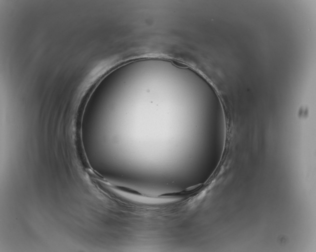 X0000091990055200709201456