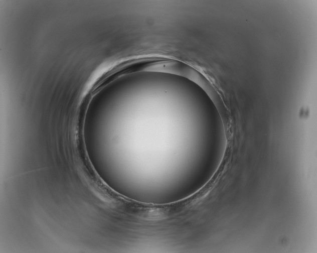 X0000091990056200709201456