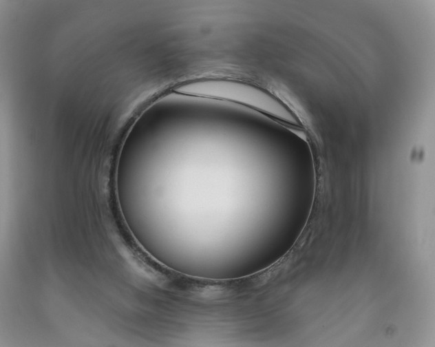 X0000091990058200709201456