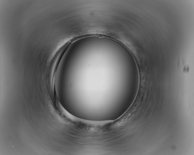 X0000091990060200709201456