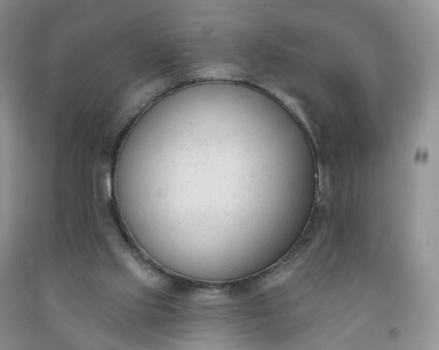 X0000091990061200709201456