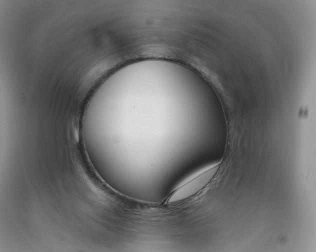 X0000091990062200709201456