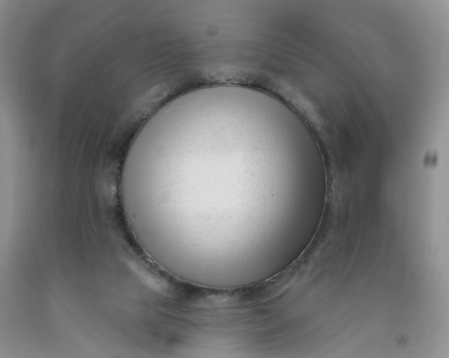 X0000091990065200709201456