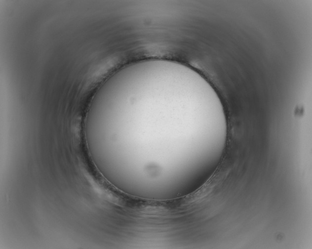 X0000091990066200709201456