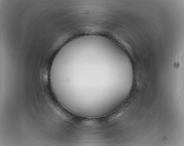 X0000091990067200709201456